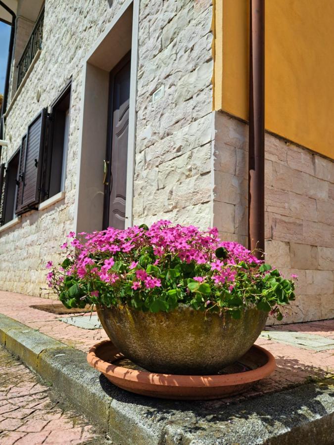 La Casa Di Mezzo-Affitti Brevi-Zona Ospedali Villa Busso Eksteriør billede